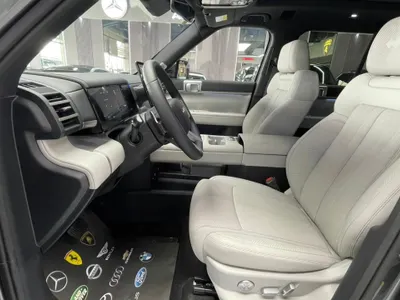 2025 بي واي دي ليوبارد 7