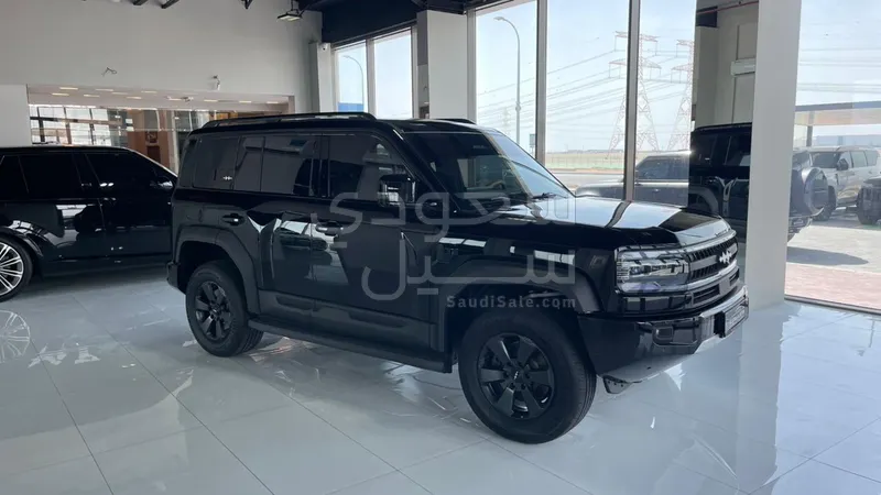 2025 بي واي دي ليوبارد 5