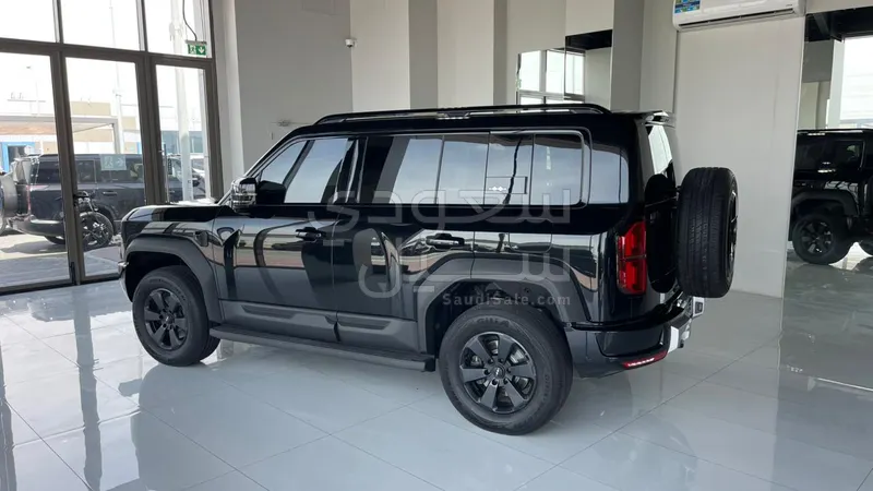 2025 بي واي دي ليوبارد 5