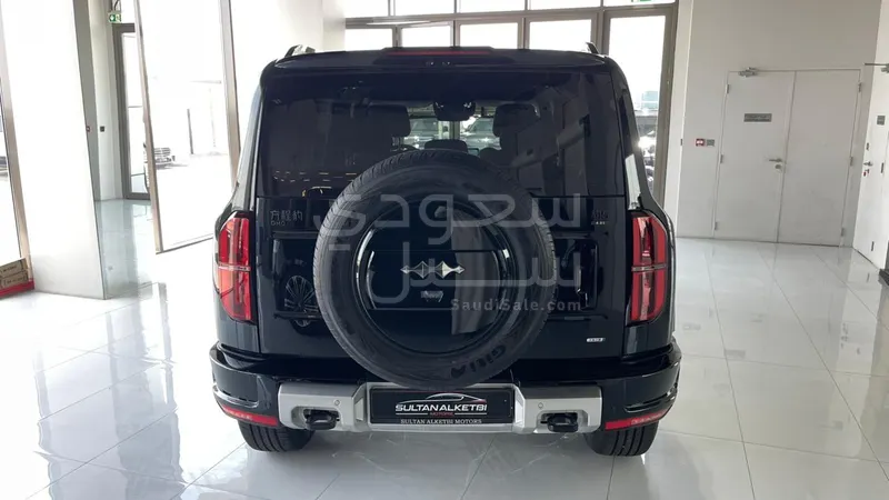 2025 بي واي دي ليوبارد 5