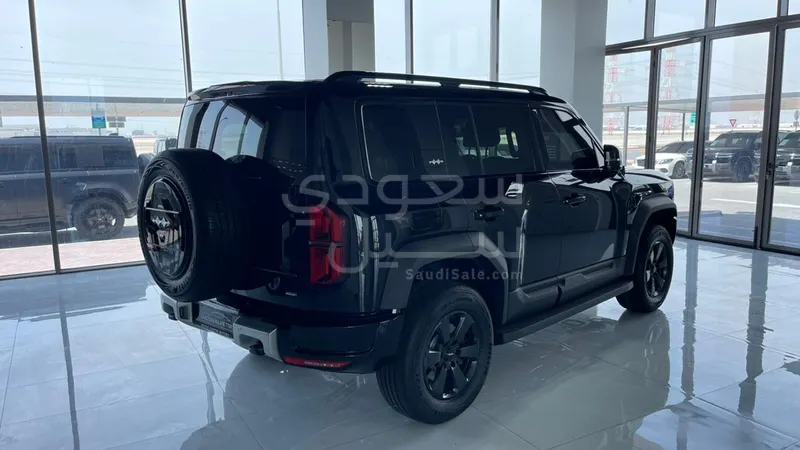 2025 بي واي دي ليوبارد 5