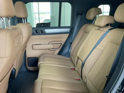 2025 بي واي دي ليوبارد 5