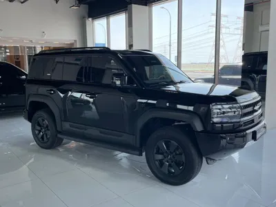 2025 بي واي دي ليوبارد 5