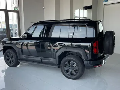 2025 بي واي دي ليوبارد 5