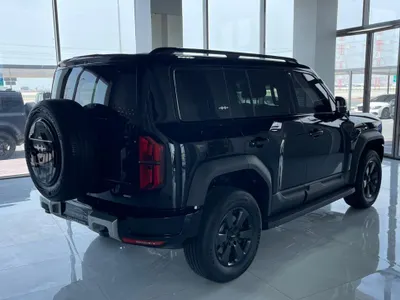 2025 بي واي دي ليوبارد 5