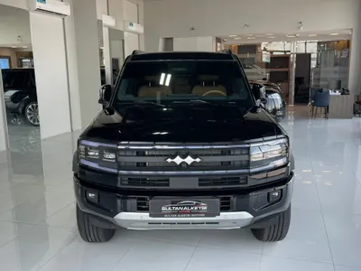 2025 بي واي دي ليوبارد 5