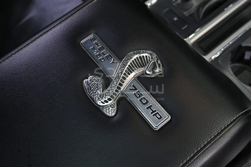 2017 فورد اف 150 شلبي