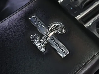 2017 فورد اف 150 شلبي