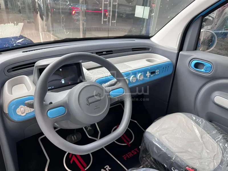 2025 فاو بيستون ميني إي في