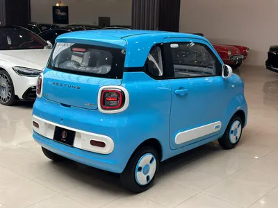 2025 فاو بيستون ميني إي في