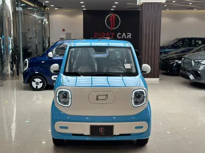 2025 فاو بيستون ميني إي في