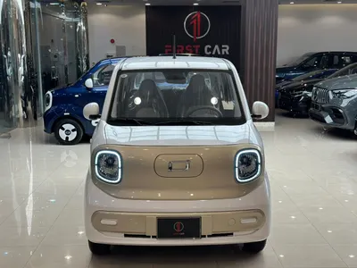 2025 فاو بيستون ميني إي في