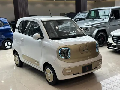 2025 فاو بيستون ميني إي في