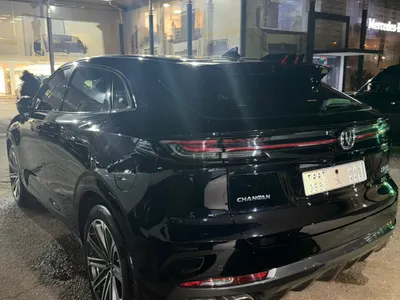 2024 شانجان يوني كي