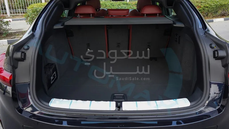 2025 بي ام دبليو الفئة اكس 4