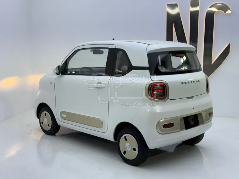 2026 فاو بيستون ميني إي في