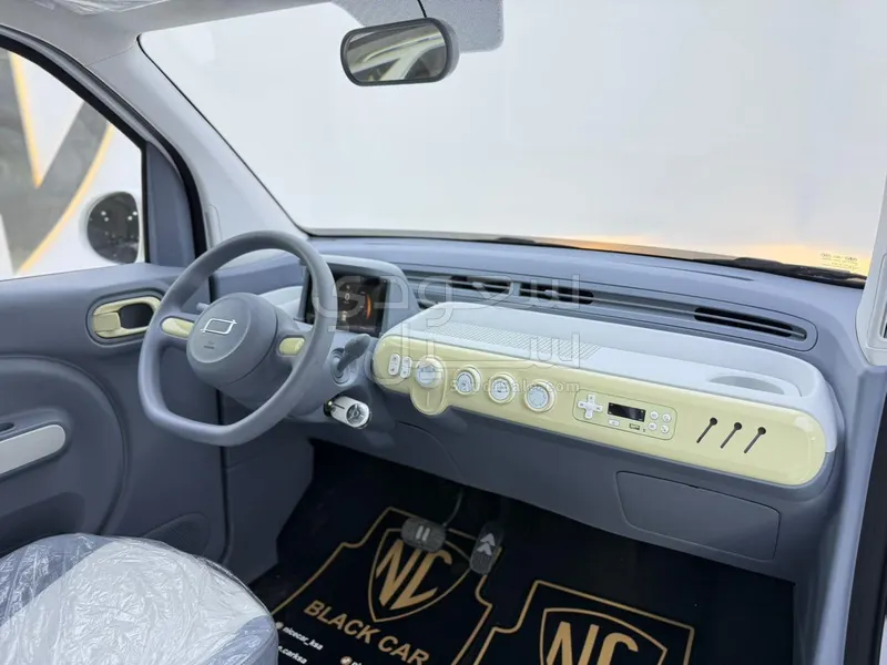 2026 فاو بيستون ميني إي في