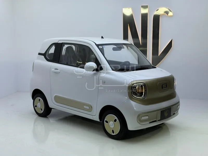 2026 فاو بيستون ميني إي في