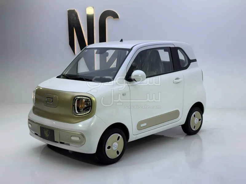 2026 فاو بيستون ميني إي في