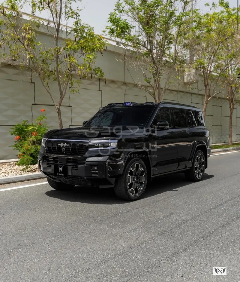 2025 بي واي دي ليوبارد 8