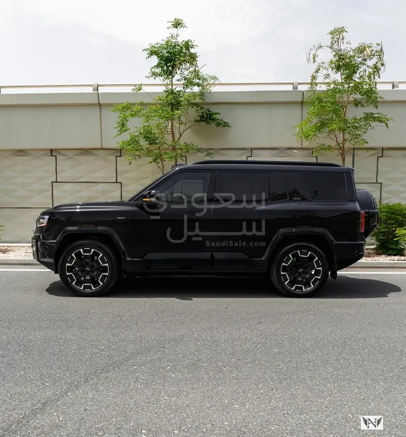 2025 بي واي دي ليوبارد 8