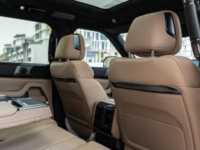 2025 بي واي دي ليوبارد 8