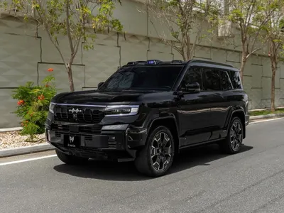 2025 بي واي دي ليوبارد 8