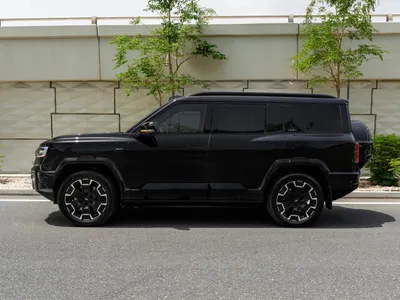 2025 بي واي دي ليوبارد 8