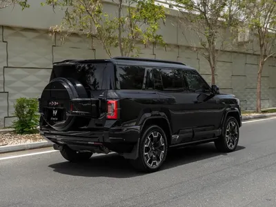 2025 بي واي دي ليوبارد 8