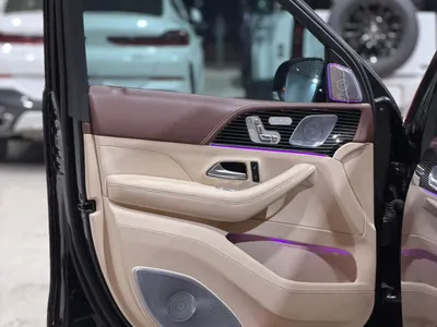 2019 مرسيدس - بنز جي إل إس 450