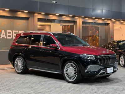 2019 مرسيدس - بنز جي إل إس 450