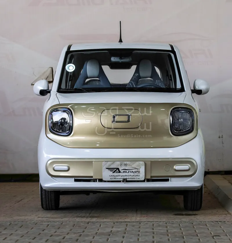 2025 Faw Bestune Mini EV