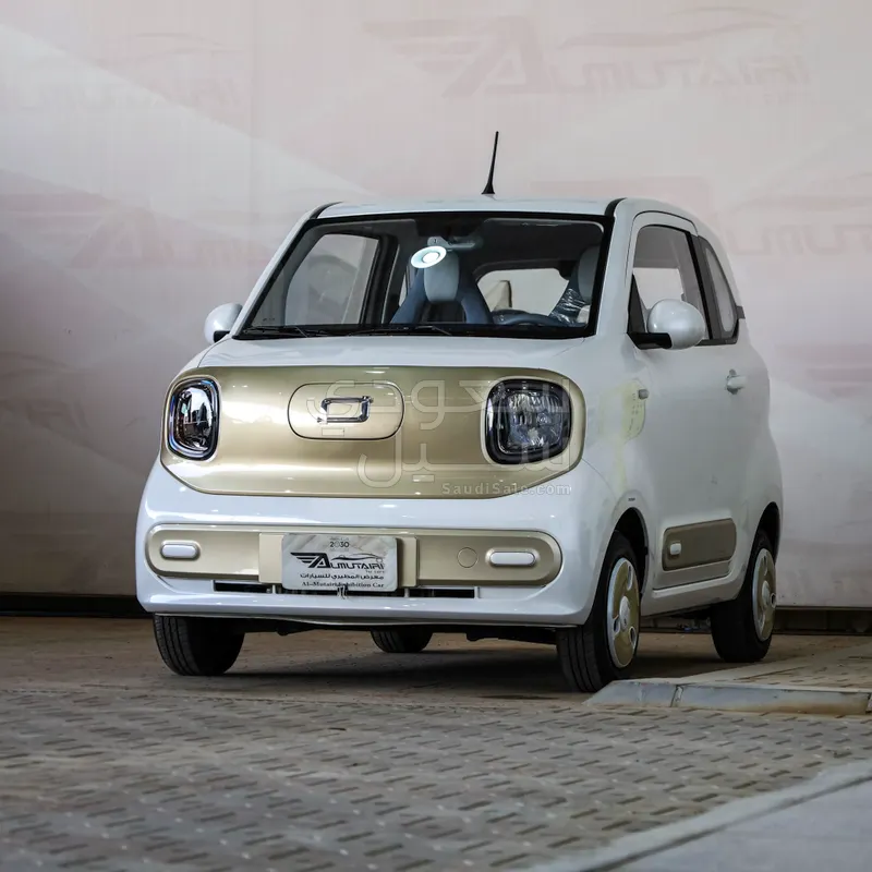 2025 Faw Bestune Mini EV