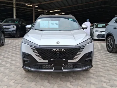 2026 دونج فينج شاين