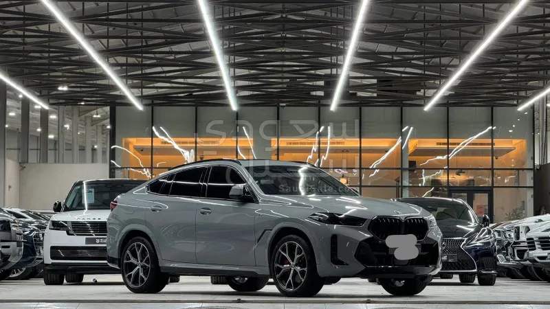 2024 بي ام دبليو الفئة اكس 6