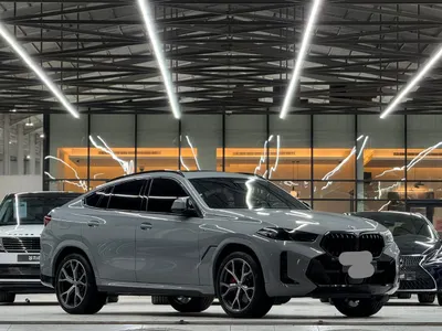 2024 بي ام دبليو الفئة اكس 6