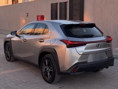 2024 لكزس يو إكس اتش300