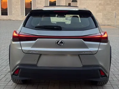 2024 لكزس يو إكس اتش300