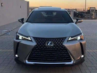 2024 لكزس يو إكس اتش300