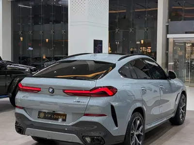 2024 بي ام دبليو الفئة اكس 6