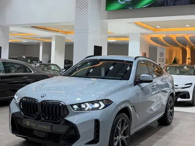 2024 بي ام دبليو الفئة اكس 6