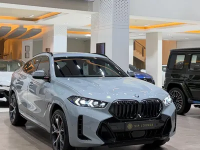 2024 بي ام دبليو الفئة اكس 6