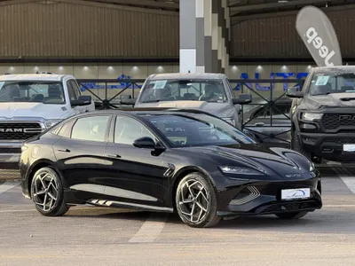 2026 بي واي دي سيل