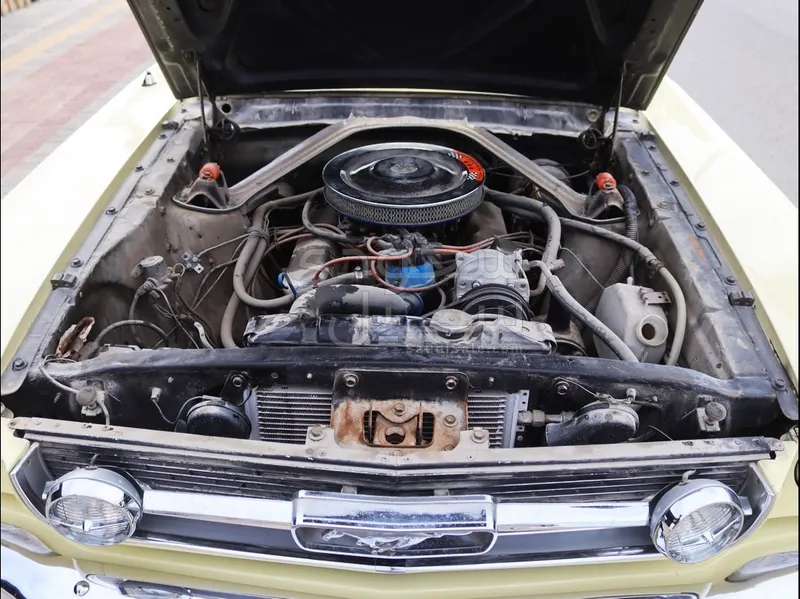 1966 فورد موستانغ جي تي