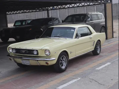 1966 فورد موستانغ جي تي