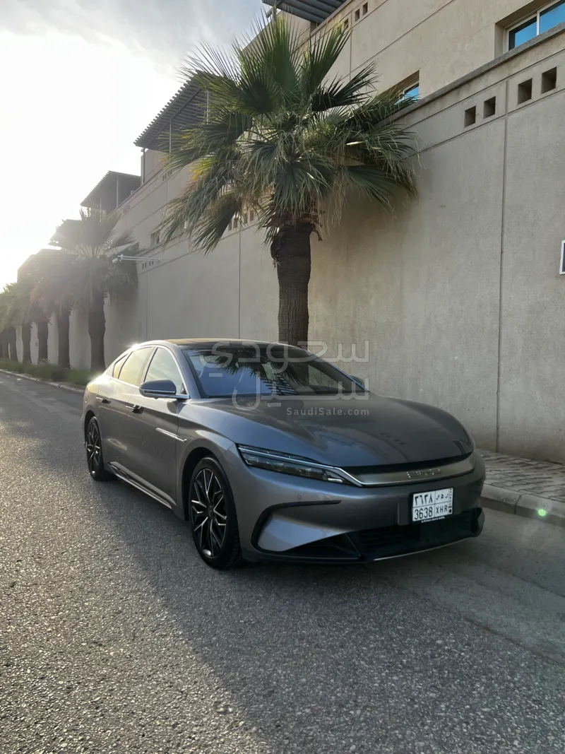 2024 بي واي دي سيل