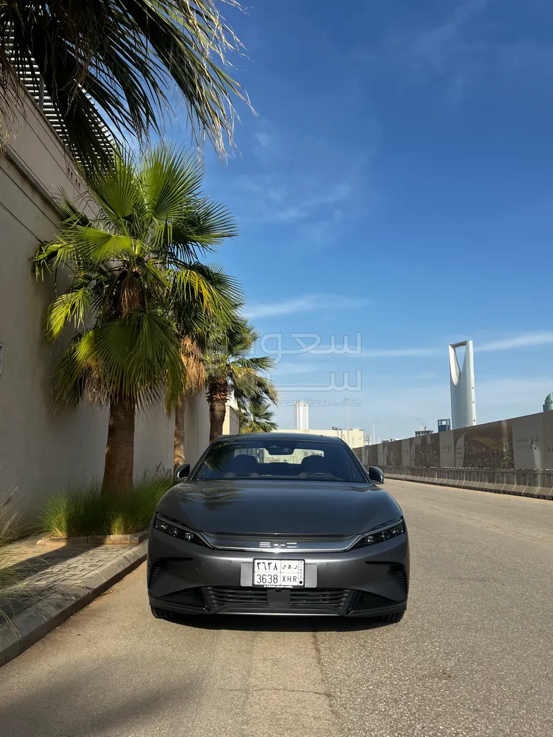 2024 بي واي دي سيل