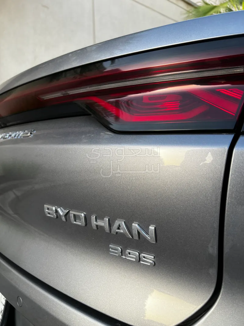 2024 بي واي دي سيل