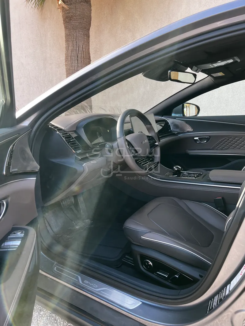 2024 بي واي دي سيل