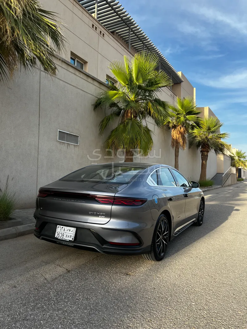 2024 بي واي دي سيل